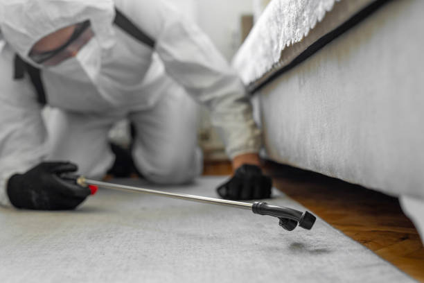 Professional Termite Control technician working in Uvalde County County, TX